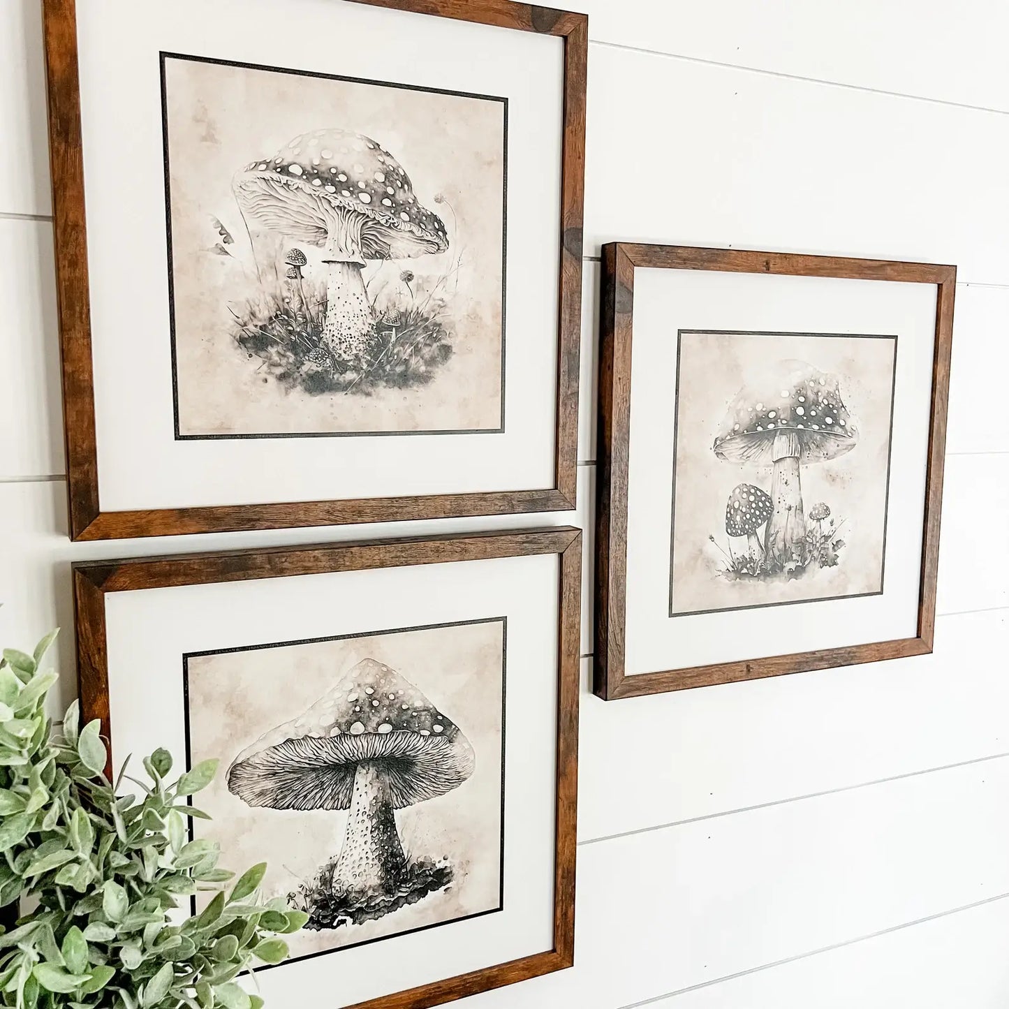 Abstract Mushroom Art